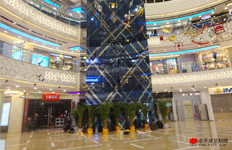 成功案例